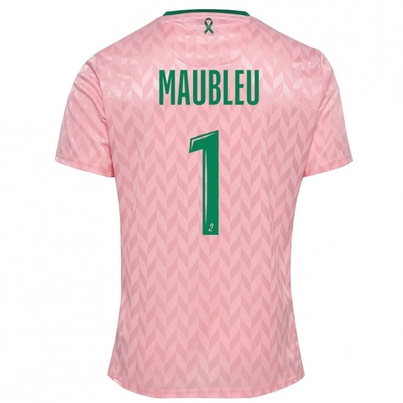 Danxen Herren Brice Maubleu #1 Trikot Pink Grün Torwarttrikot 2025/26 Österreich