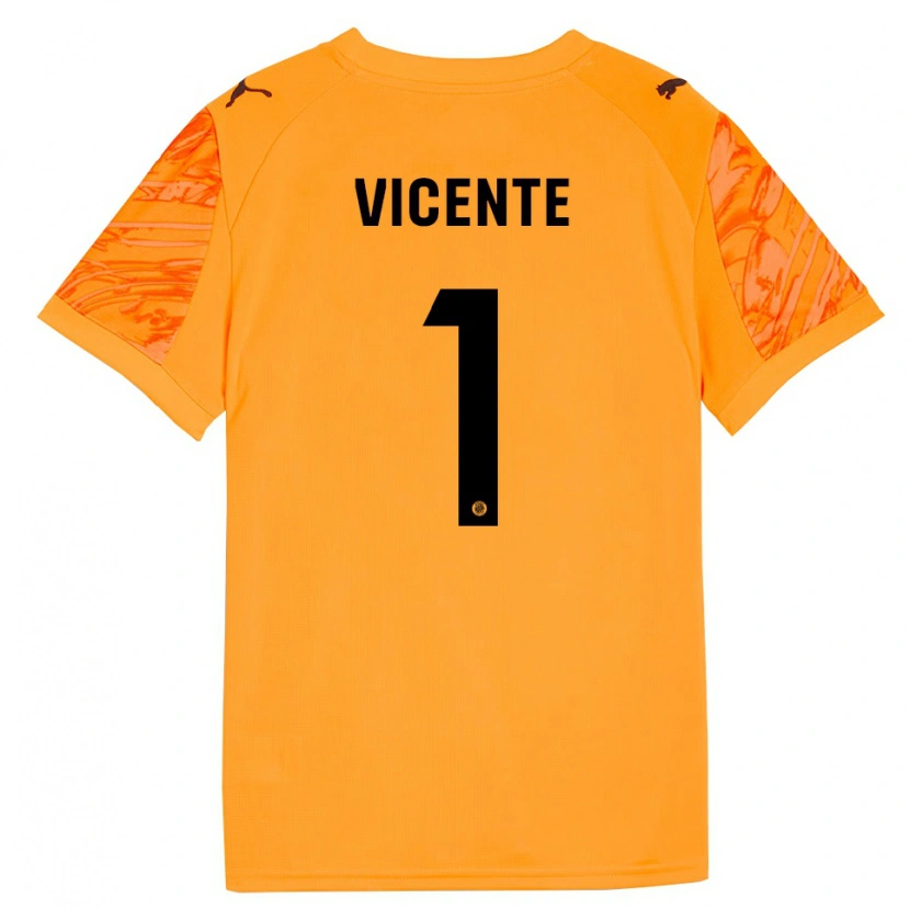 Danxen Herren Diego Vicente #1 Trikot Orange Schwarz Torwarttrikot 2025/26 Österreich
