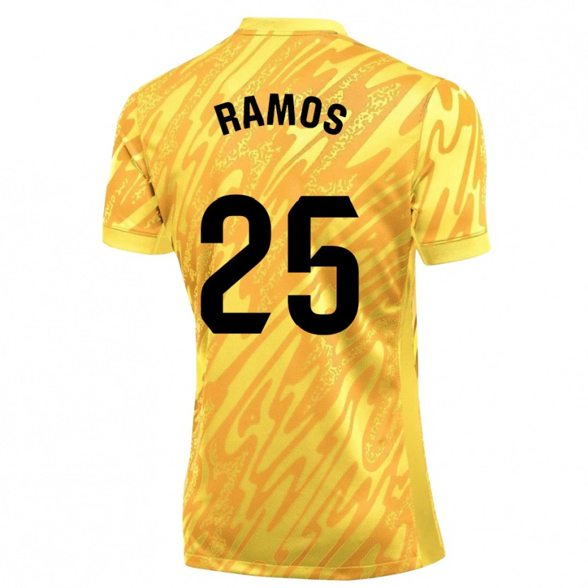 Danxen Herren Alejandro Ramos #25 Trikot Gelb Schwarz Torwarttrikot 2025/26 Österreich