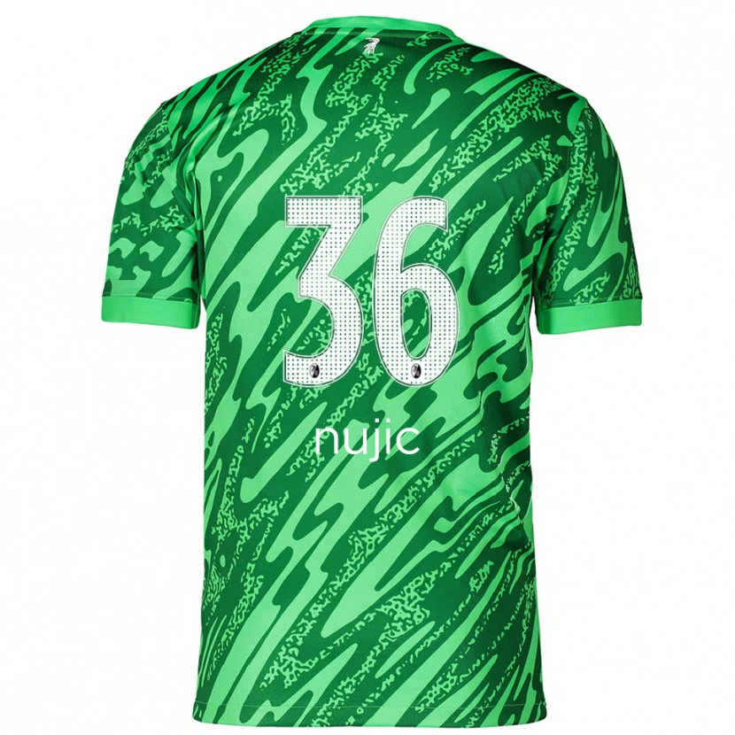 Danxen Herren Luka Nujic #36 Trikot Grün Weiß Torwarttrikot 2025/26 Österreich