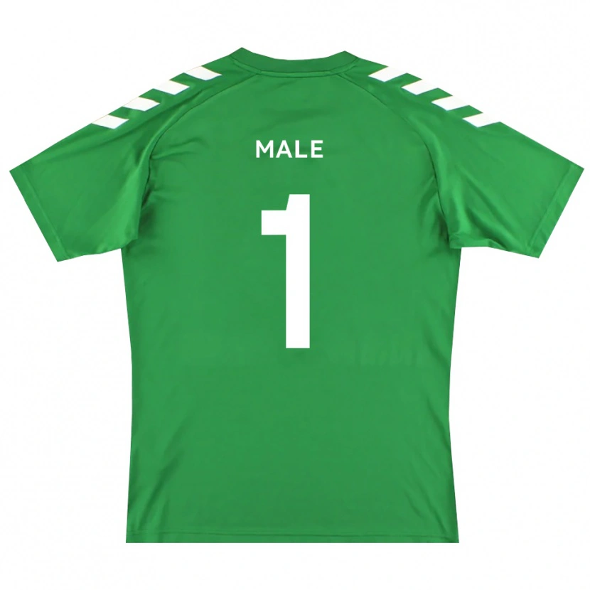 Danxen Herren Harrison Male #1 Trikot Grün Weiß Torwarttrikot 2025/26 Österreich