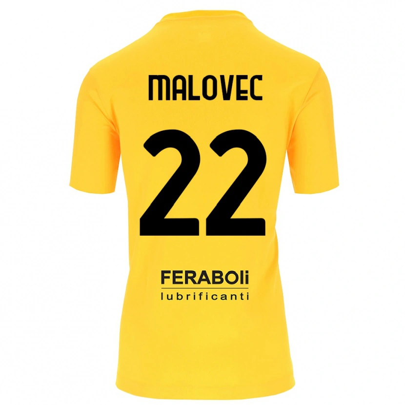 Danxen Herren Adrian Malovec #22 Trikot Gelb Schwarz Torwarttrikot 2025/26 Österreich