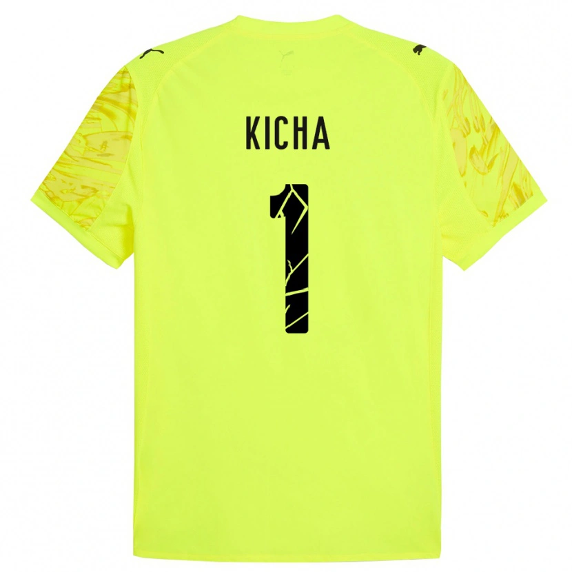 Danxen Herren Tymofiy Kicha #1 Trikot Grün Gelb Torwarttrikot 2025/26 Österreich