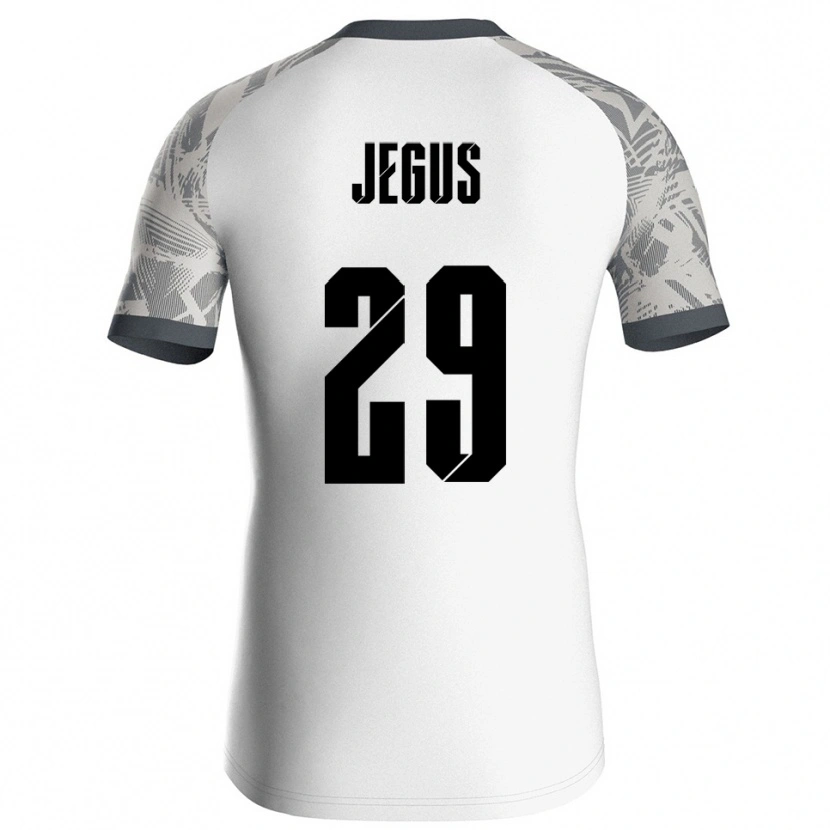 Danxen Damen Leonard Jegus #29 Trikot Grau Weiß Torwarttrikot 2025/26 Österreich
