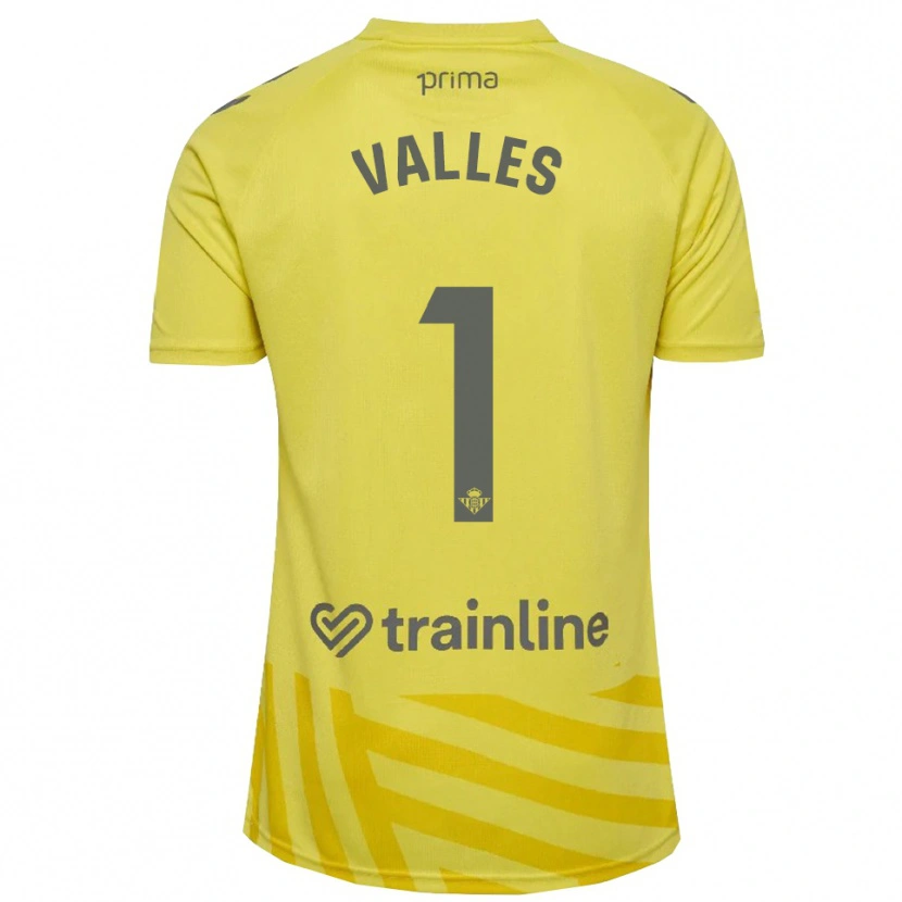 Danxen Damen Álvaro Valles #1 Trikot Gelb Grau Torwarttrikot 2025/26 Österreich