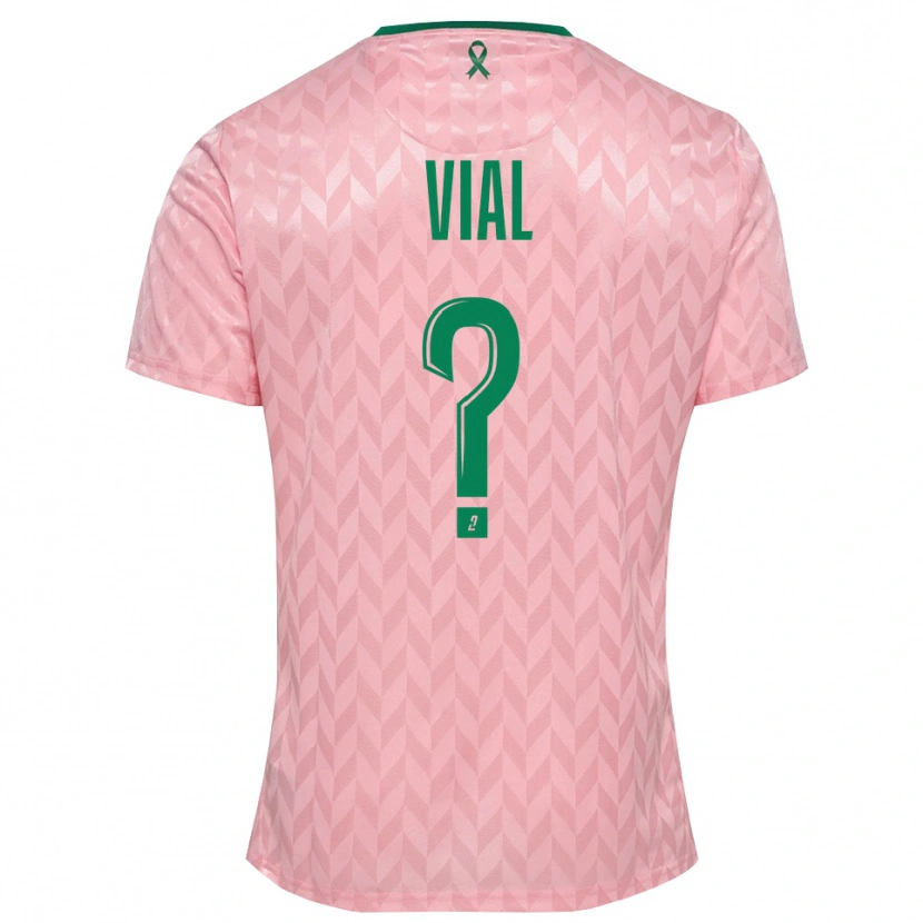 Danxen Damen Lorik Vial #0 Trikot Pink Grün Torwarttrikot 2025/26 Österreich