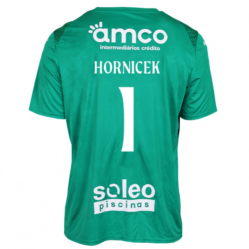 Danxen Damen Lukas Hornicek #1 Trikot Grün Weiß Torwarttrikot 2025/26 Österreich