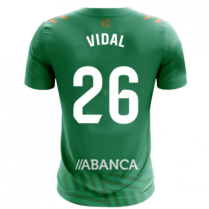 Danxen Damen Marc Vidal #26 Trikot Grün Weiß Torwarttrikot 2025/26 Österreich