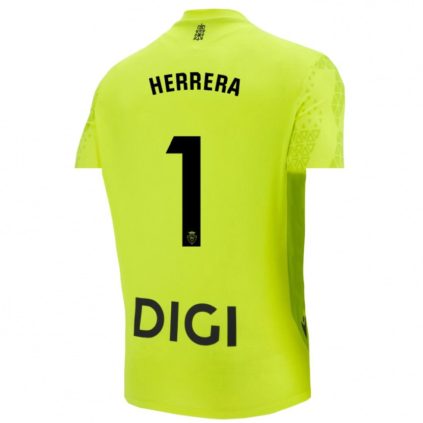 Danxen Damen Sergio Herrera #1 Trikot Leuchtgrün Torwarttrikot 2025/26 Österreich