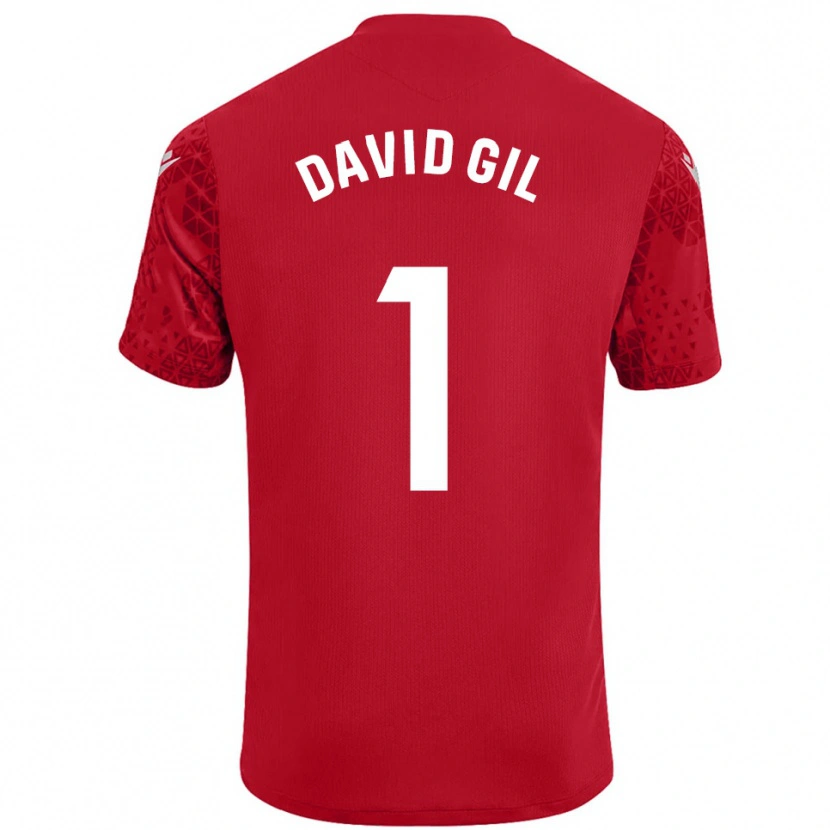 Danxen Damen David Gil #1 Trikot Rot Weiß Torwarttrikot 2025/26 Österreich