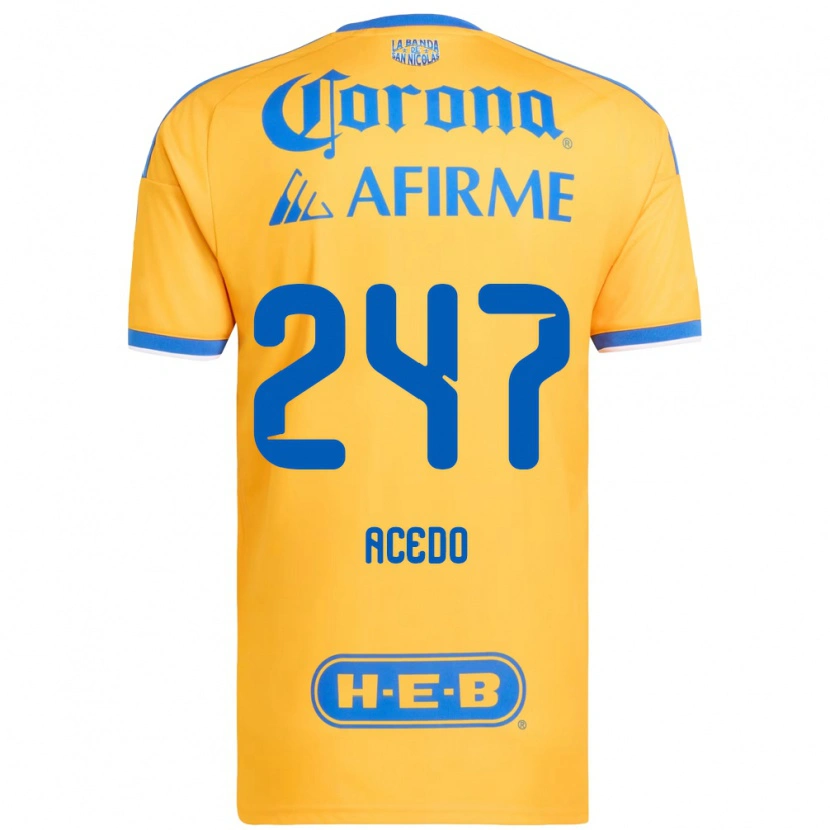Danxen Kinder Kevin Acedo #247 Gelb Blau Heimtrikot Trikot 2026/27 T-Shirt Österreich