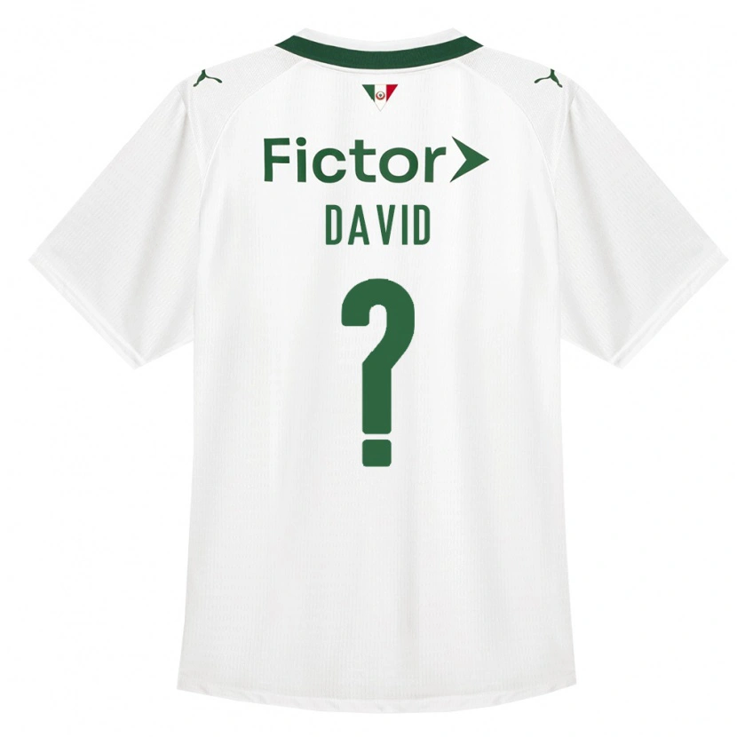 Danxen Kinder David #0 Grün Weiß Auswärtstrikot Trikot 2026/27 T-Shirt Österreich