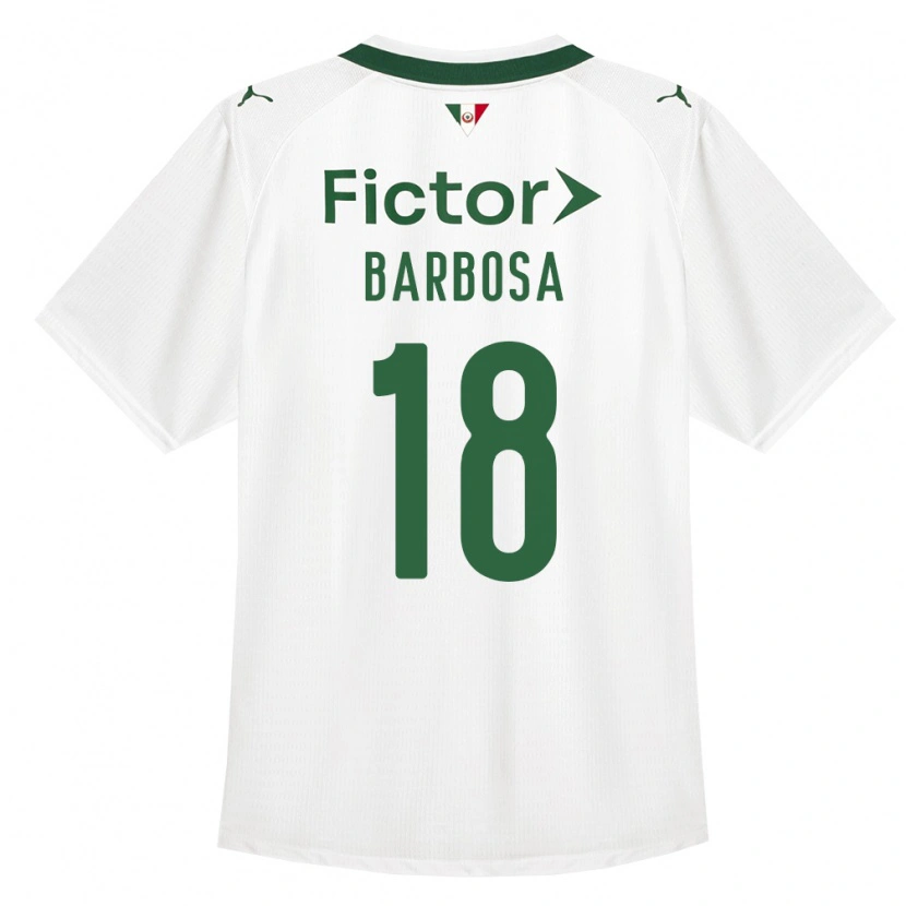 Danxen Kinder Danilo Barbosa #18 Grün Weiß Auswärtstrikot Trikot 2026/27 T-Shirt Österreich