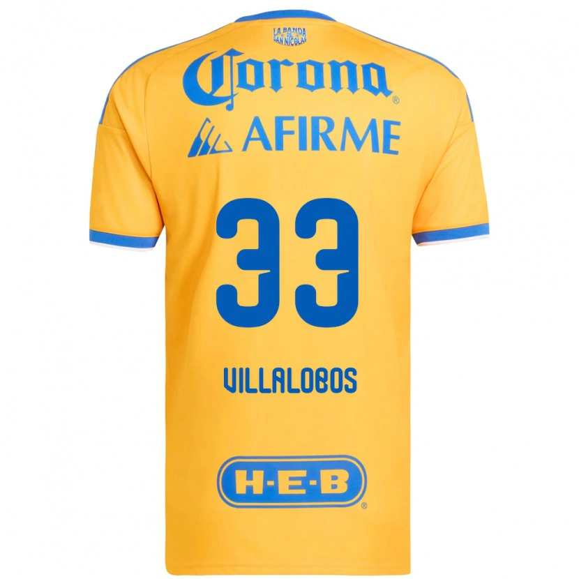 Danxen Herren Vania Villalobos #33 Gelb Blau Heimtrikot Trikot 2026/27 T-Shirt Österreich