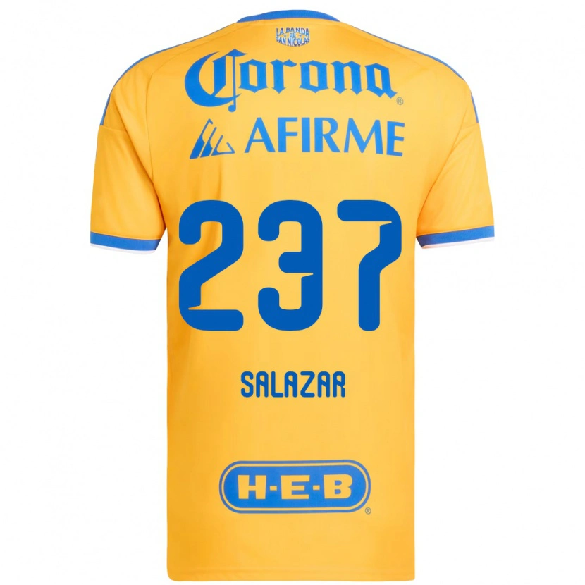 Danxen Herren Bryan Salazar #237 Gelb Blau Heimtrikot Trikot 2026/27 T-Shirt Österreich