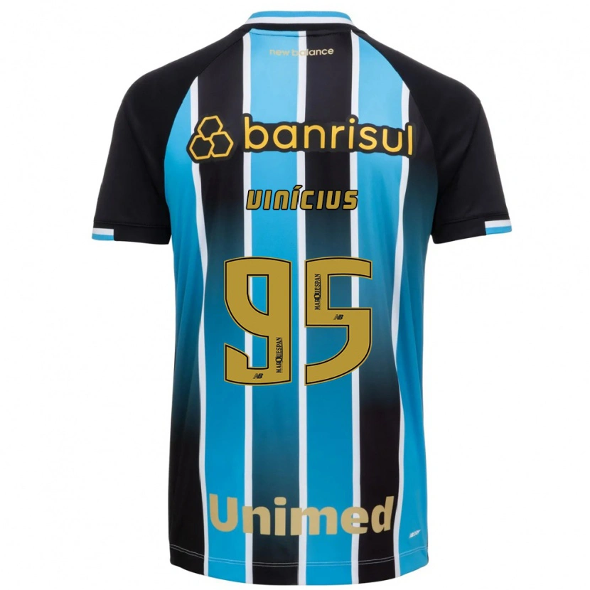 Danxen Herren Carlos Vinícius #95 Blau Braun Schwarz Heimtrikot Trikot 2026/27 T-Shirt Österreich