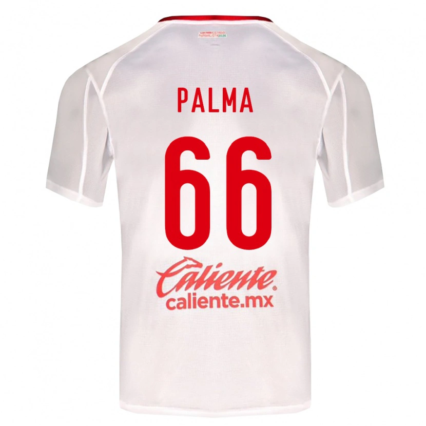 Danxen Herren Arturo Palma #66 Weiß Grün Rot Auswärtstrikot Trikot 2026/27 T-Shirt Österreich