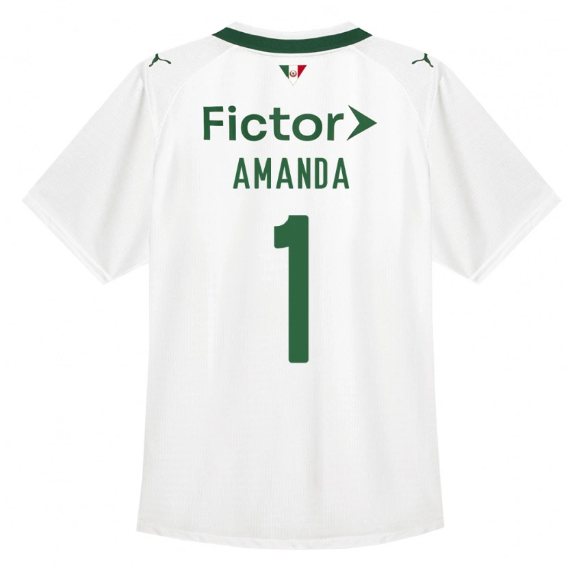 Danxen Herren Amanda #1 Grün Weiß Auswärtstrikot Trikot 2026/27 T-Shirt Österreich