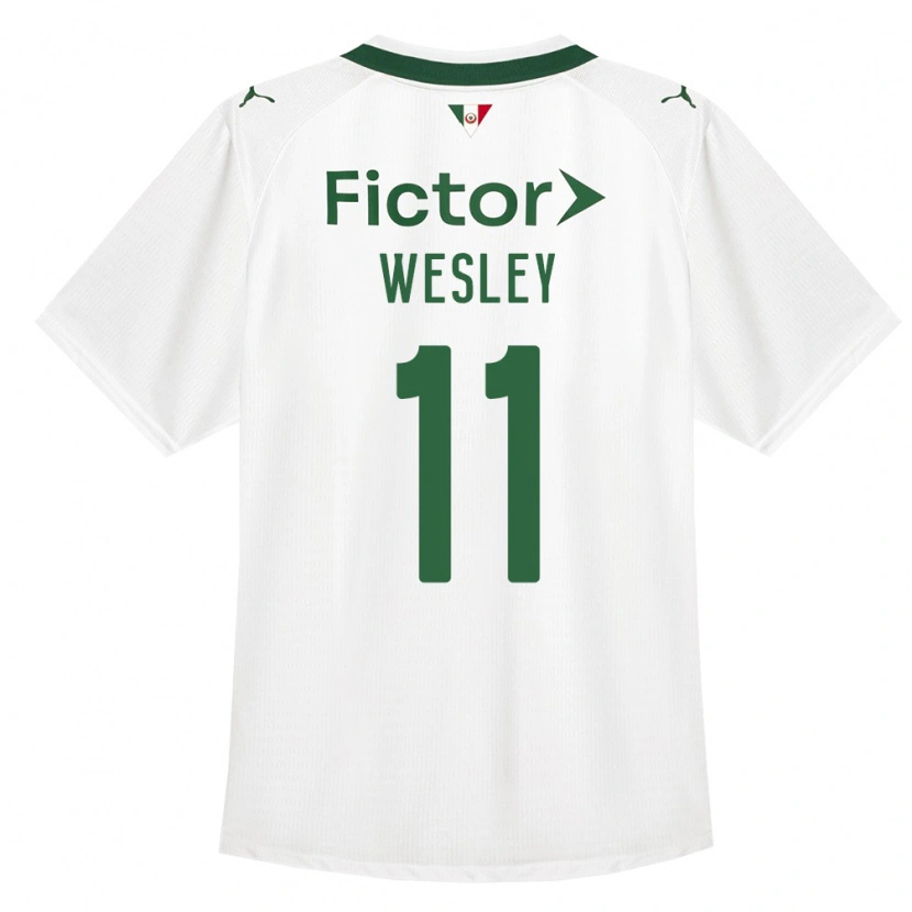 Danxen Herren Wesley #11 Grün Weiß Auswärtstrikot Trikot 2026/27 T-Shirt Österreich