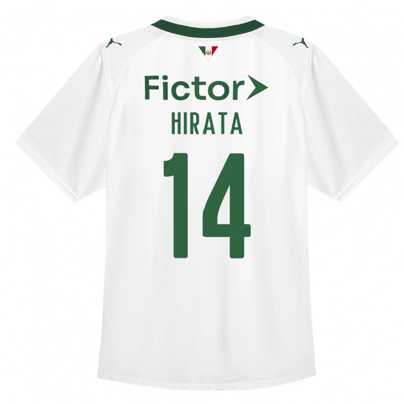 Danxen Herren Bruna Hirata #14 Grün Weiß Auswärtstrikot Trikot 2026/27 T-Shirt Österreich