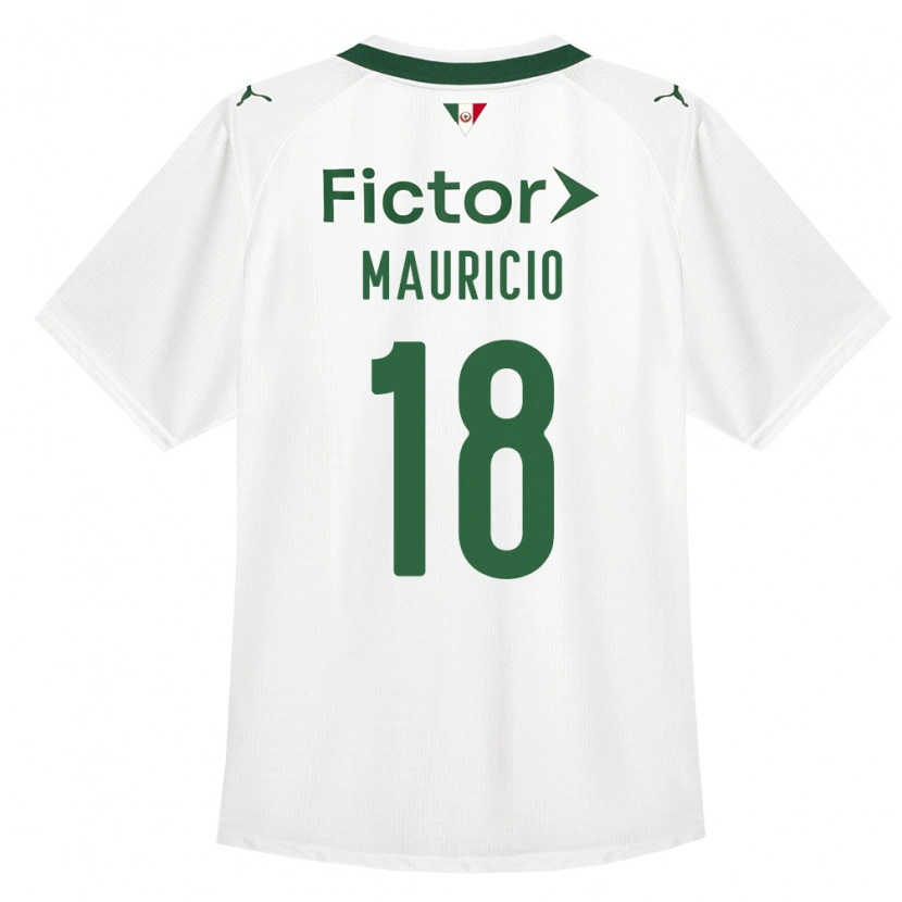 Danxen Herren Mauricio Magalhães Prado #18 Grün Weiß Auswärtstrikot Trikot 2026/27 T-Shirt Österreich