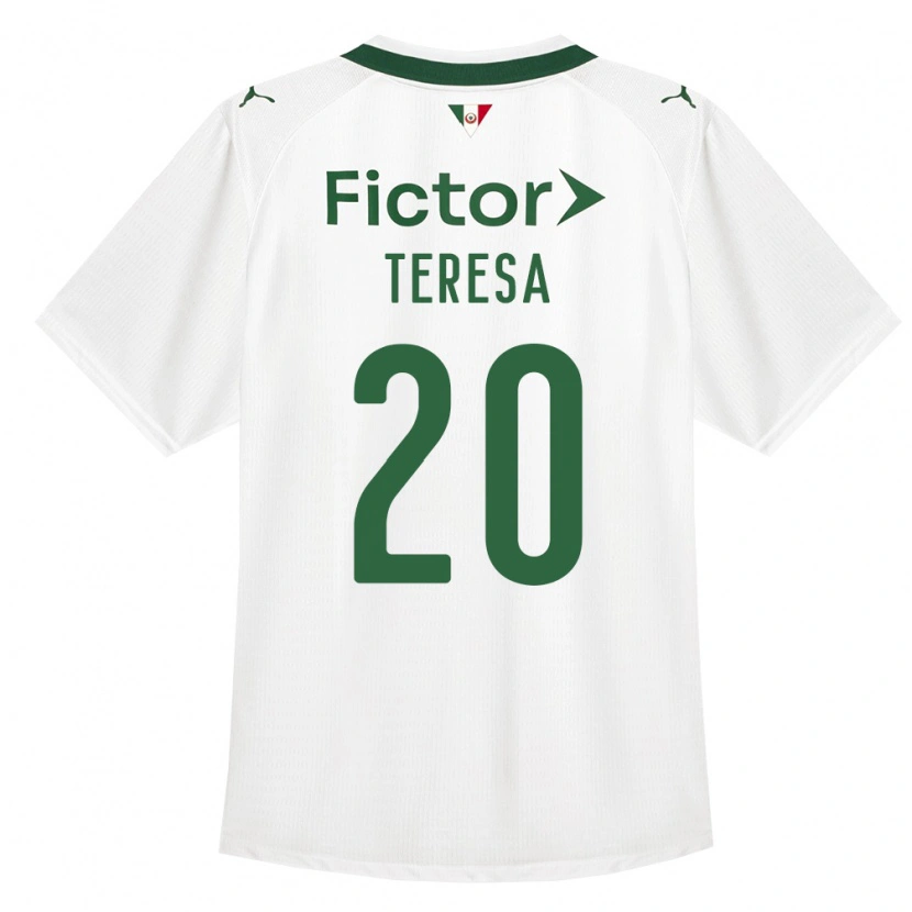 Danxen Herren Felipe Teresa #20 Grün Weiß Auswärtstrikot Trikot 2026/27 T-Shirt Österreich