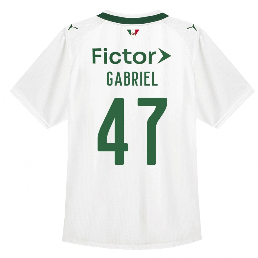 Danxen Herren Victor Gabriel #47 Grün Weiß Auswärtstrikot Trikot 2026/27 T-Shirt Österreich