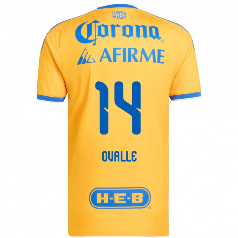 Danxen Damen Lizbeth Ovalle #14 Gelb Blau Heimtrikot Trikot 2026/27 T-Shirt Österreich