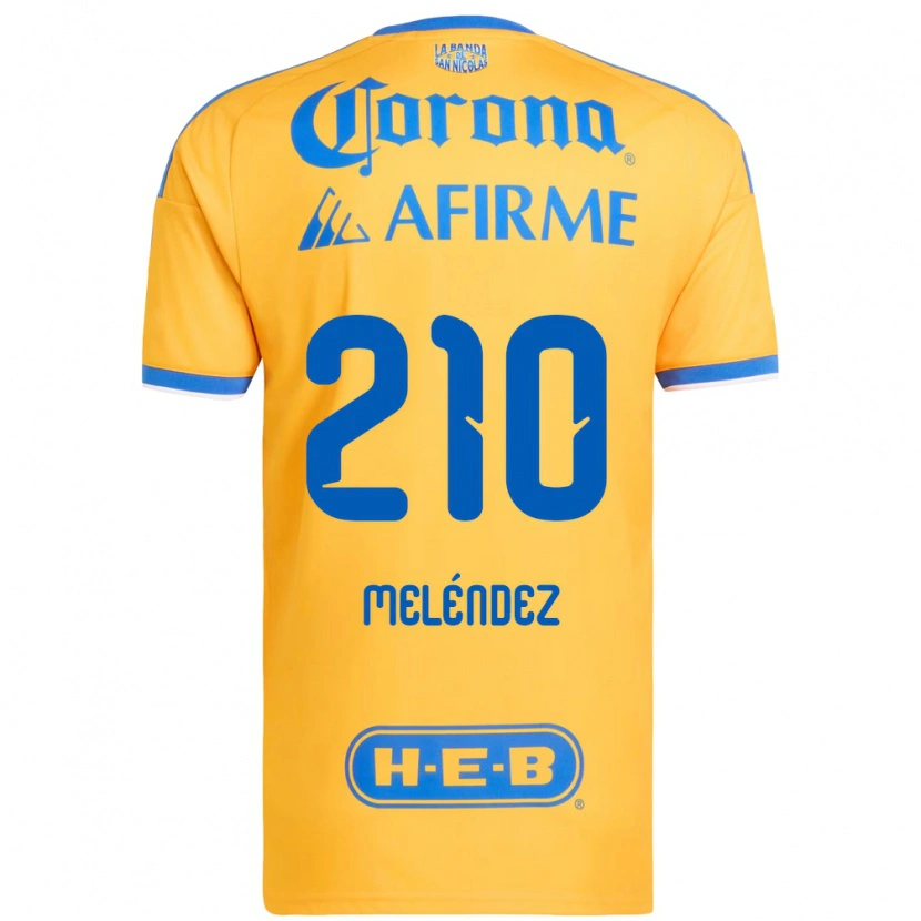 Danxen Damen Marcelo Meléndez #210 Gelb Blau Heimtrikot Trikot 2026/27 T-Shirt Österreich