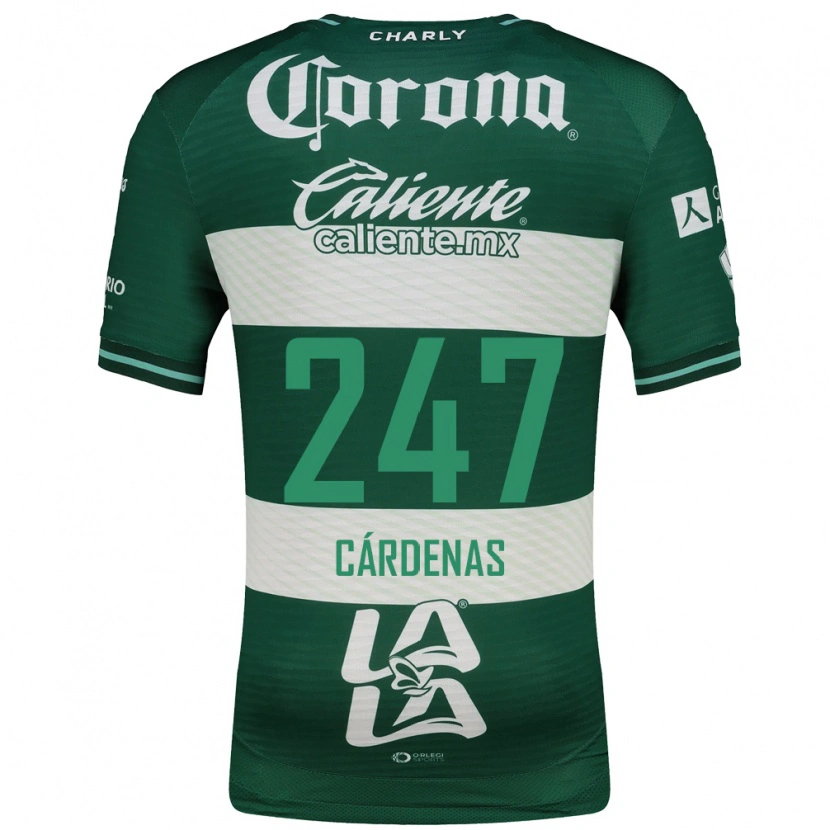Danxen Damen José Cárdenas #247 Grün Weiß Heimtrikot Trikot 2026/27 T-Shirt Österreich