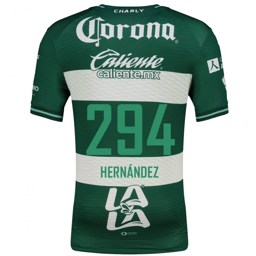 Danxen Damen Matías Hernández #294 Grün Weiß Heimtrikot Trikot 2026/27 T-Shirt Österreich