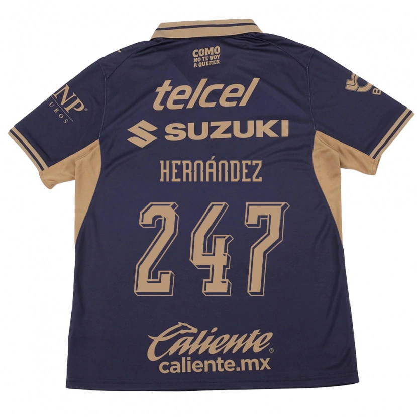 Danxen Damen Oswaldo Hernández #247 Lila Braun Heimtrikot Trikot 2026/27 T-Shirt Österreich