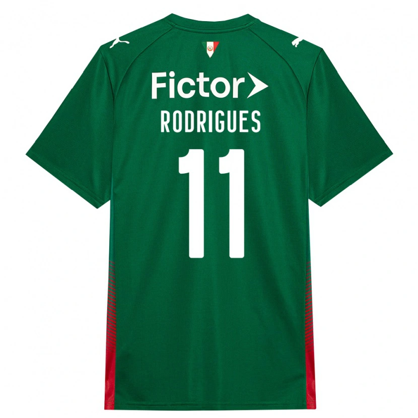 Danxen Damen Bruno Rodrigues #11 Grün Rot Weiß Heimtrikot Trikot 2026/27 T-Shirt Österreich
