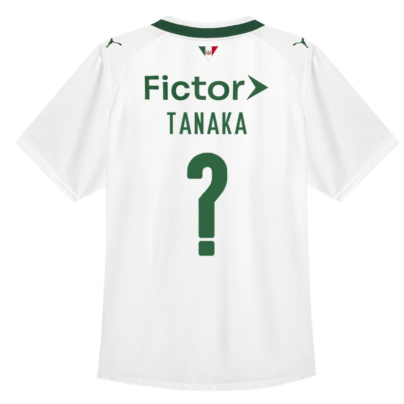 Danxen Damen Gabriel Tanaka #0 Grün Weiß Auswärtstrikot Trikot 2026/27 T-Shirt Österreich