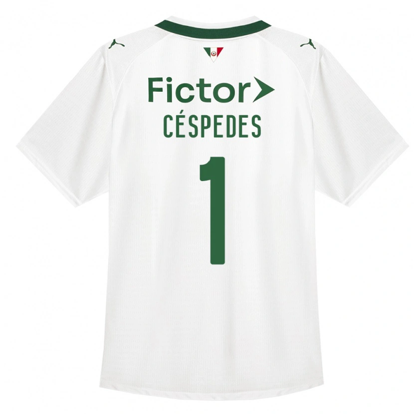 Danxen Damen Antonio Céspedes #1 Grün Weiß Auswärtstrikot Trikot 2026/27 T-Shirt Österreich