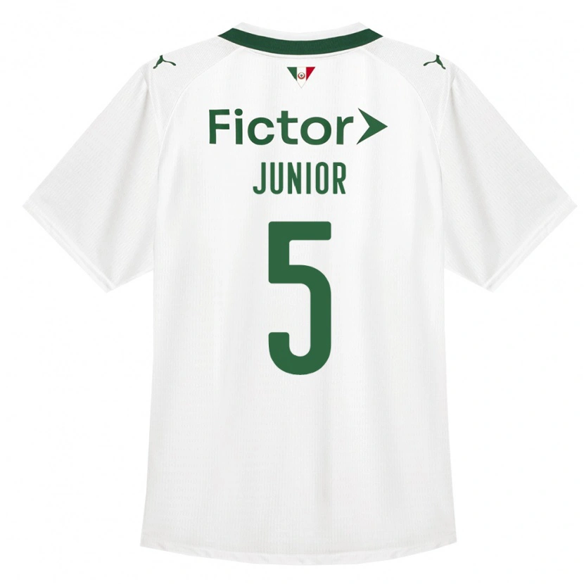 Danxen Damen Amilton Junior #5 Grün Weiß Auswärtstrikot Trikot 2026/27 T-Shirt Österreich