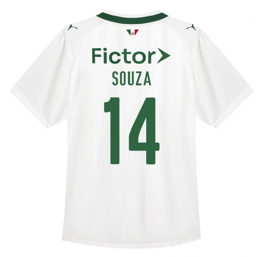 Danxen Damen Luiz Fernando #14 Grün Weiß Auswärtstrikot Trikot 2026/27 T-Shirt Österreich