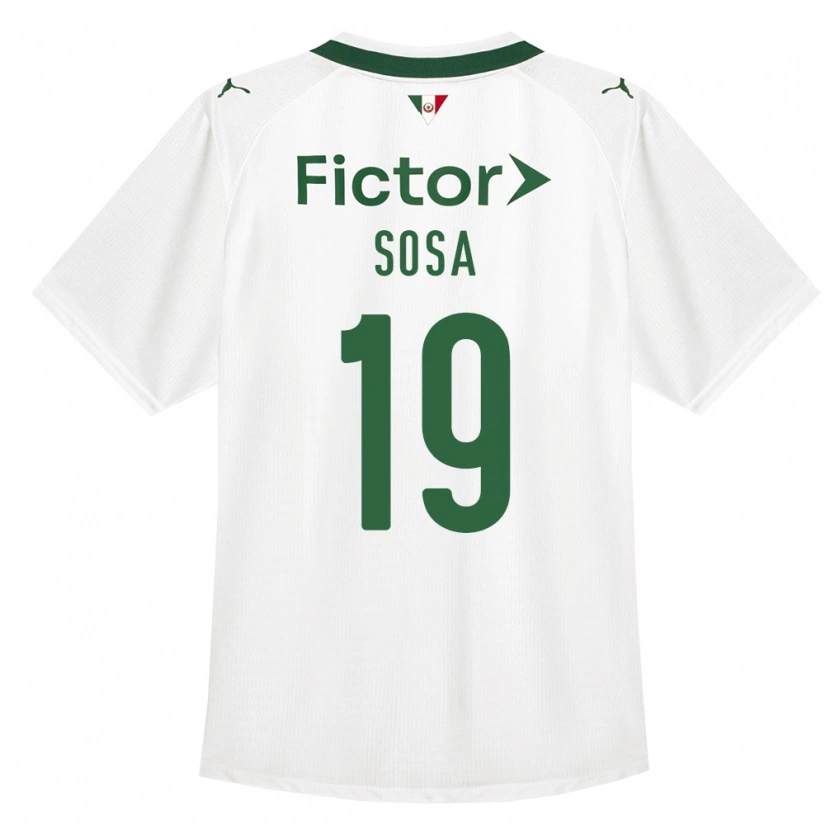 Danxen Damen Ramón Sosa #19 Grün Weiß Auswärtstrikot Trikot 2026/27 T-Shirt Österreich
