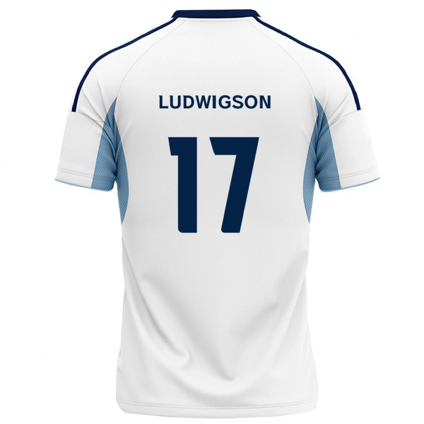 Danxen Damen Gustav Ludwigson #17 Königsblau Weiß Auswärtstrikot Trikot 2026/27 T-Shirt Österreich