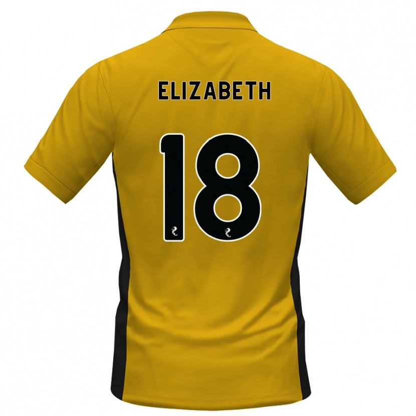 Danxen Herren Ashley Elizabeth #18 Orange Schwarz Heimtrikot Trikot 2026/27 T-Shirt Österreich