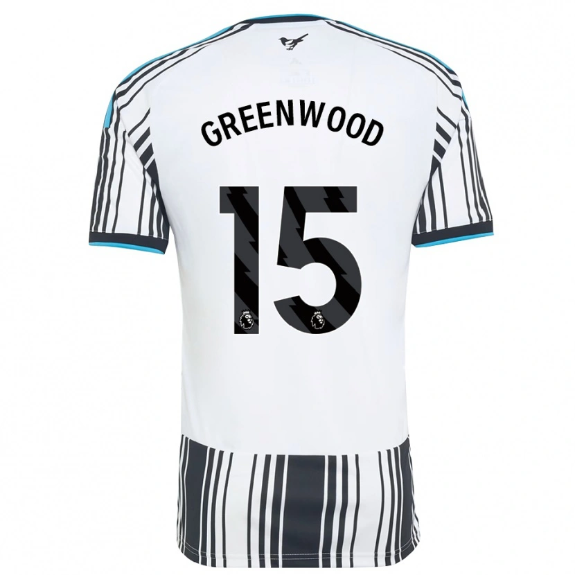 Danxen Herren Hannah Greenwood #15 Himmelsblau Schwarz Weiß Heimtrikot Trikot 2026/27 T-Shirt Österreich