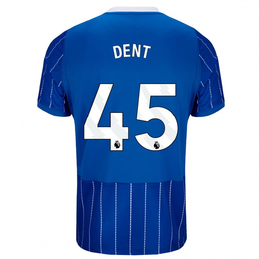 Danxen Damen Lily Dent #45 Mittelblau Weiß Heimtrikot Trikot 2026/27 T-Shirt Österreich