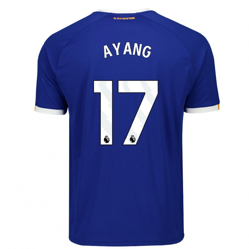 Danxen Damen Godswill Ayang #17 Blau Weiß Gelb Heimtrikot Trikot 2026/27 T-Shirt Österreich