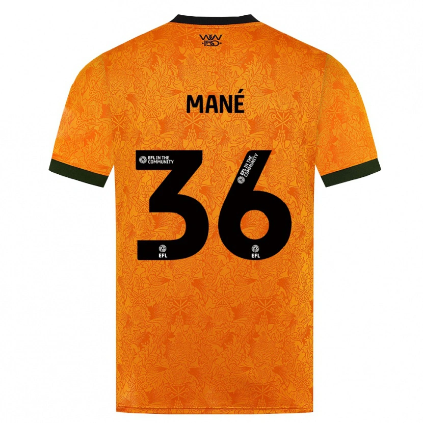 Danxen Damen Mateus Mané #36 Orange Schwarz Heimtrikot Trikot 2026/27 T-Shirt Österreich