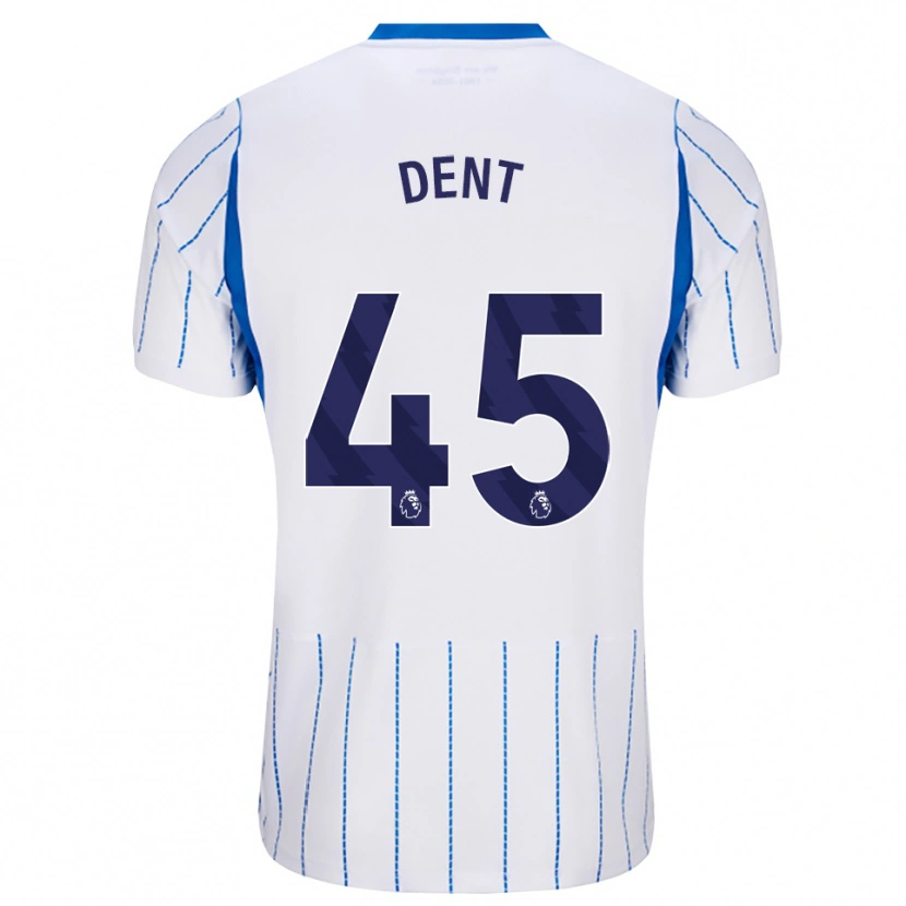 Danxen Damen Lily Dent #45 Himmelblau Weiß Auswärtstrikot Trikot 2026/27 T-Shirt Österreich