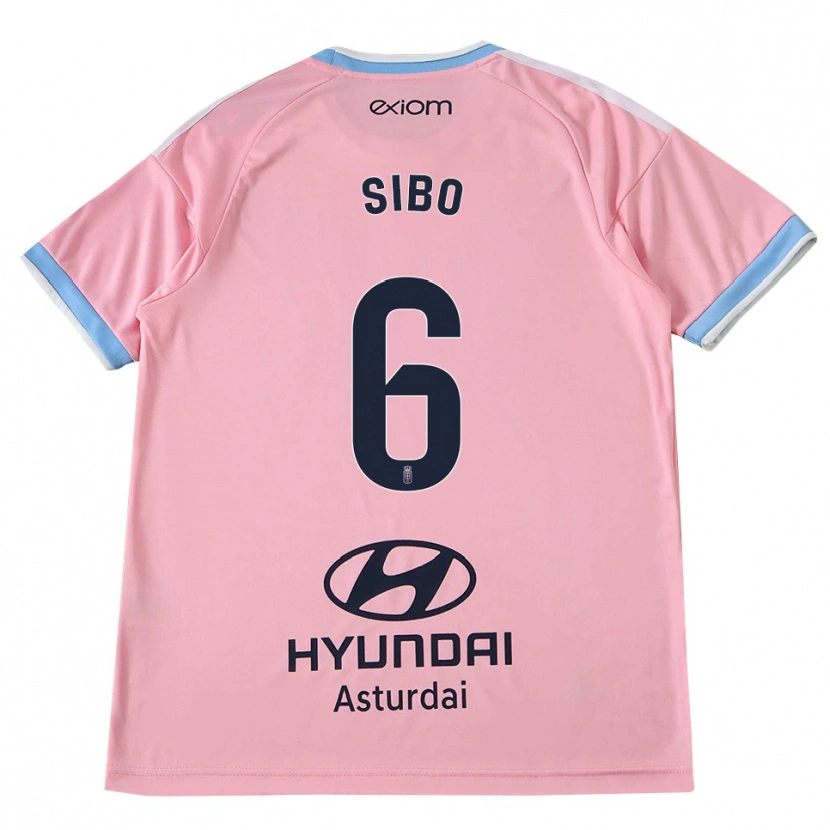 Danxen Herren Kwasi Sibo #6 Kornblumenblau Rosa Auswärtstrikot Trikot 2026/27 T-Shirt Österreich