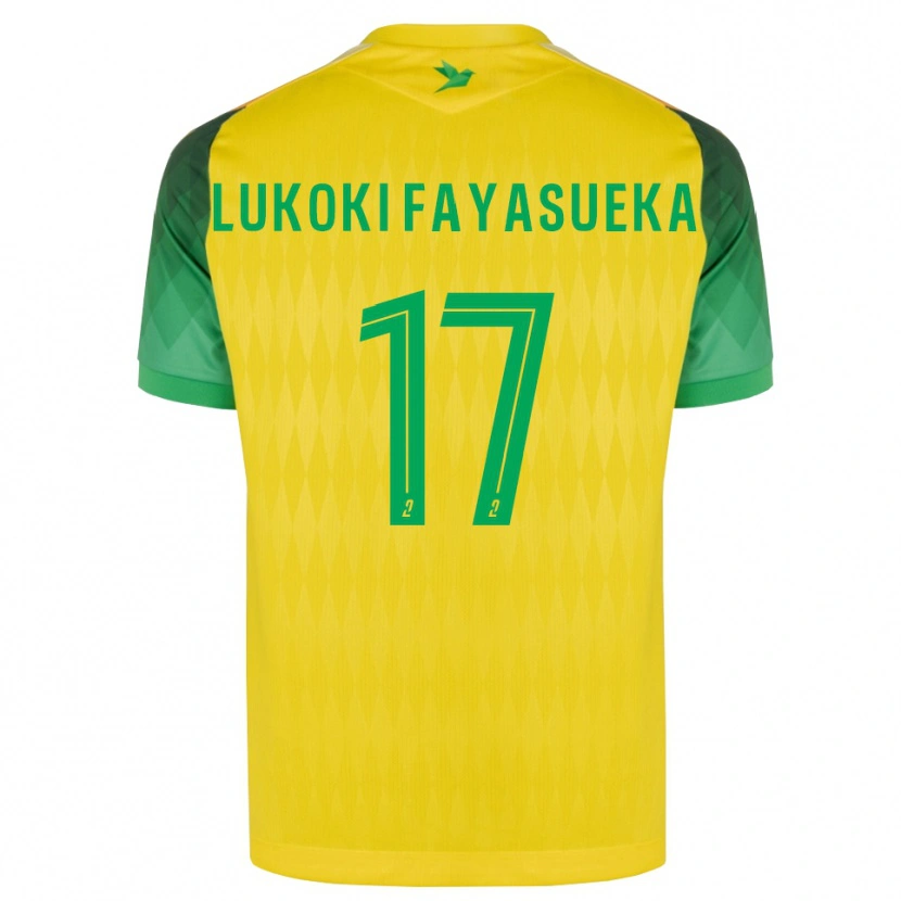 Danxen Damen Kévin Lukoki Fayasueka #17 Gelb Grün Rot Heimtrikot Trikot 2026/27 T-Shirt Österreich