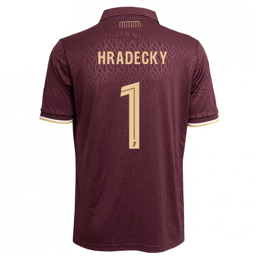 Danxen Damen Lukas Hradecky #1 Weinrot Sandbraun Auswärtstrikot Trikot 2026/27 T-Shirt Österreich