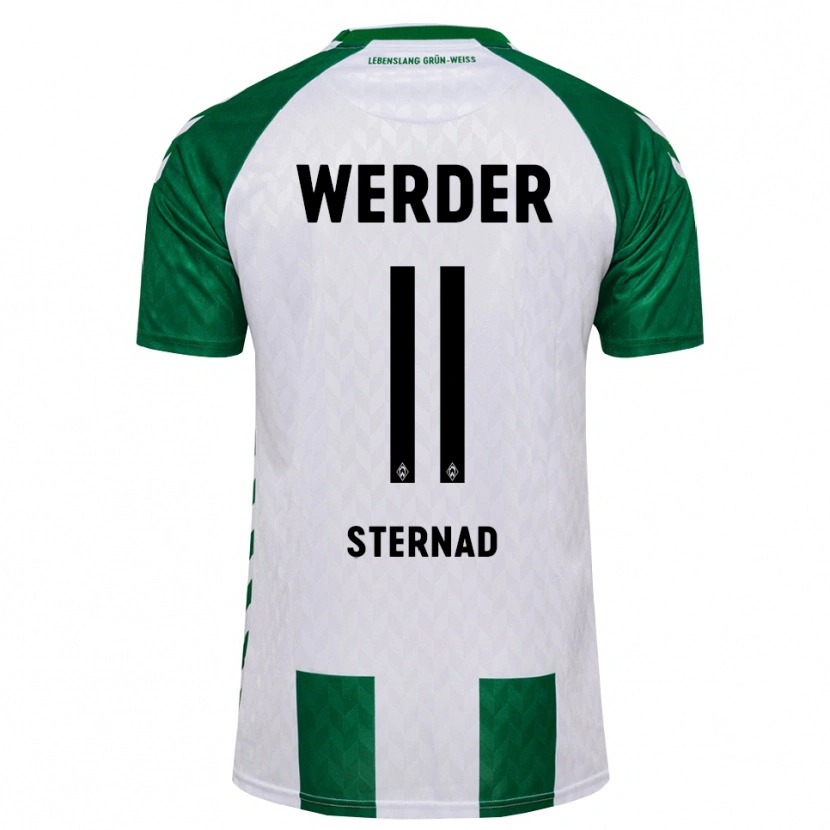 Danxen Kinder Maja Sternad #11 Grün Weiß Heimtrikot Trikot 2026/27 T-Shirt Österreich