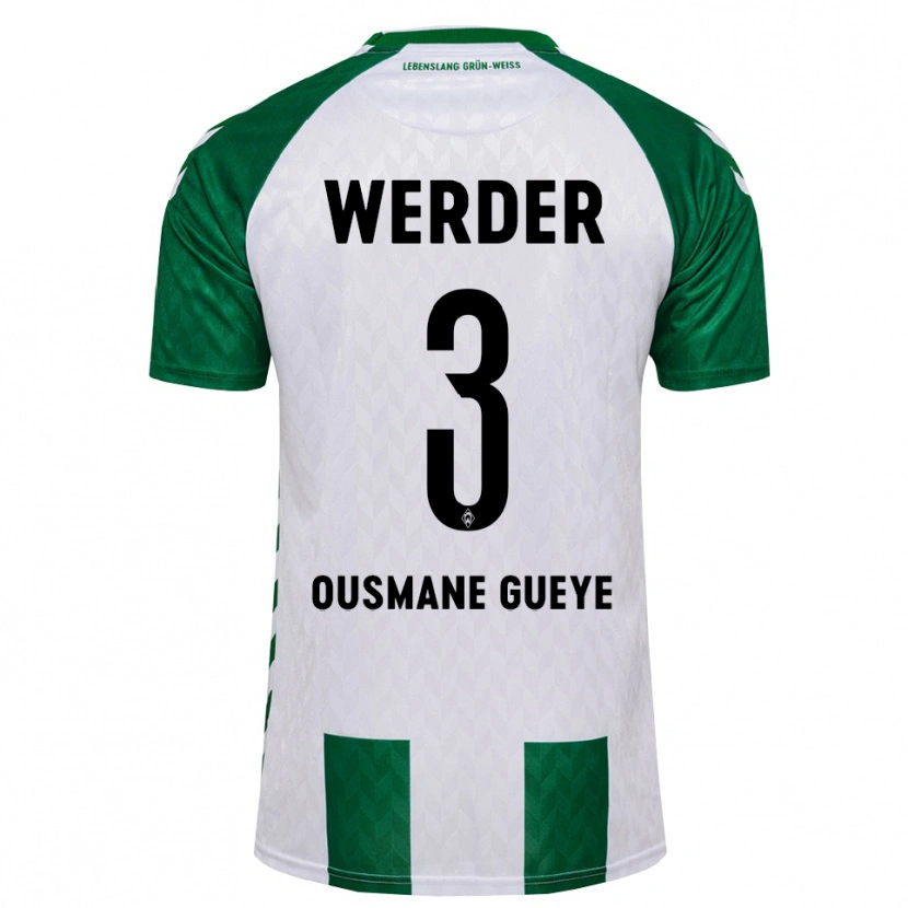 Danxen Herren Papa Ousmane Gueye #3 Grün Weiß Heimtrikot Trikot 2026/27 T-Shirt Österreich